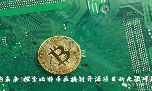 拥抱未来：探索比特币区块链开源项目的无限可能性