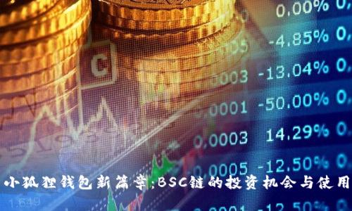 开启小狐狸钱包新篇章：BSC链的投资机会与使用指南