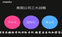 探索区块链中的神级币种