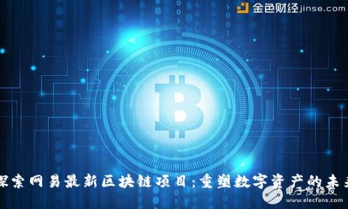 探索网易最新区块链项目：重塑数字资产的未来