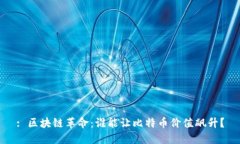 : 区块链革命：谁能让比特