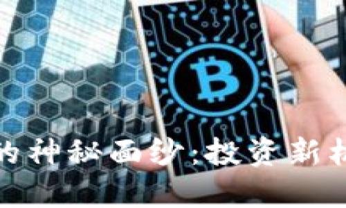 揭开区块链币的神秘面纱：投资新机遇和潜在风险