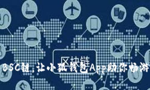 轻松导入BSC链，让小狐钱包App助你畅游DeFi世界