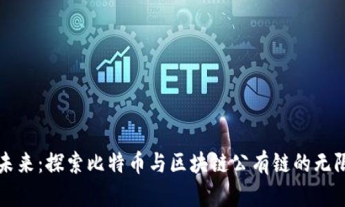 拥抱未来：探索比特币与区块链公有链的无限可能