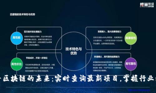 探寻区块链的未来：实时查询最新项目，掌握行业动态