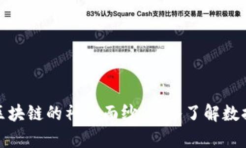 揭开比特币区块链的神秘面纱：深入了解数据结构的奥秘