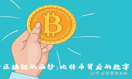 揭开区块链的面纱：比特币背后的数字革命