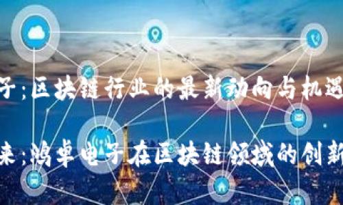 鸿卓电子：区块链行业的最新动向与机遇

引领未来：鸿卓电子在区块链领域的创新与突破