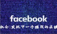 抓住机会：发现下一个赚