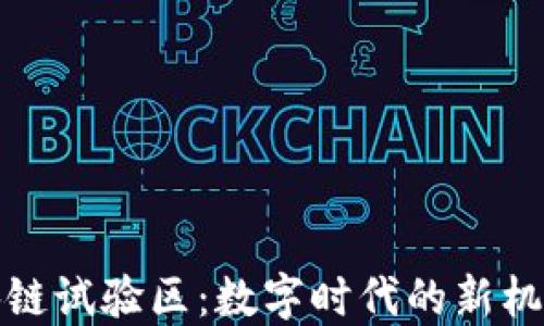 
海南区块链试验区：数字时代的新机遇与挑战