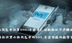 要在小狐钱包中设置BNB（