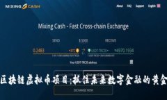 解密区块链虚拟币项目：