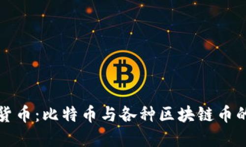解密数字货币：比特币与各种区块链币的未来之路