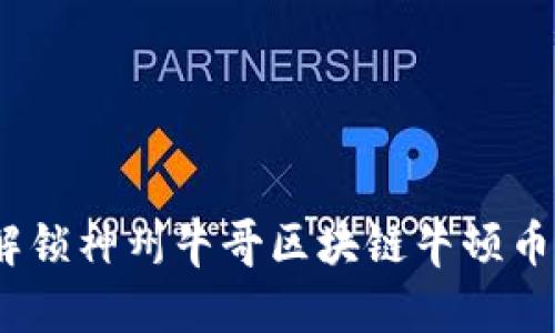 拥抱未来：解锁神州牛哥区块链牛顿币的无限可能