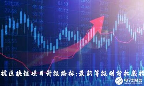 掌握区块链项目升级路标：最新等级划分权威指南