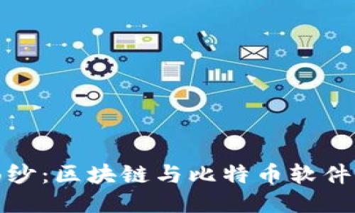 揭开神秘面纱：区块链与比特币软件的未来之路