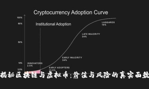 揭秘区块链与虚拟币：价值与风险的真实面貌