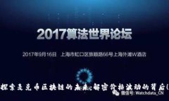 探索麦克币区块链的未来