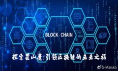 探索瞿山鹰：引领区块链