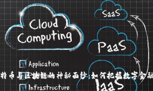 揭开比特币与区块链的神秘面纱：如何把握数字金融的未来