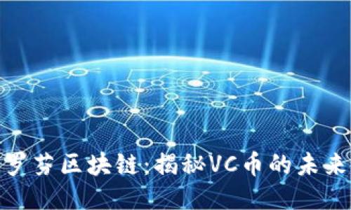 探索老挝波罗芬区块链：揭秘VC币的未来潜力与价值