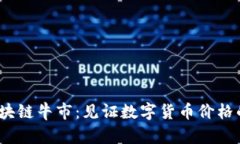 2021年区块链牛市：见证数
