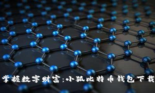 轻松掌握数字财富：小狐比特币钱包下载指南