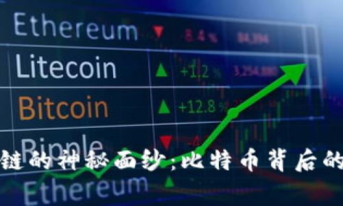 揭开区块链的神秘面纱：比特币背后的真实故事