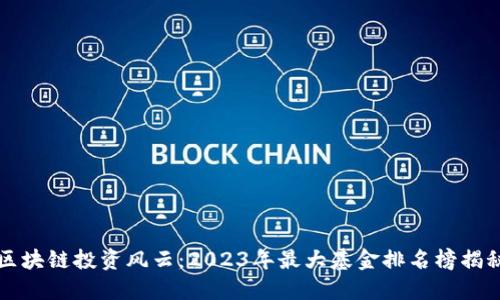 区块链投资风云：2023年最大基金排名榜揭秘