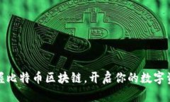 全面掌握比特币区块链，