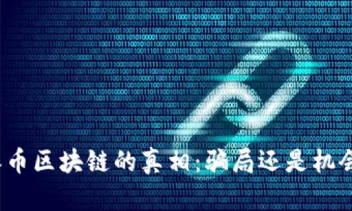 派币区块链的真相：骗局还是机会？