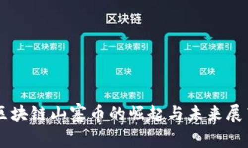 区块链山寨币的崛起与未来展望