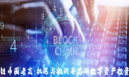 
区块链币圈老高：机遇与挑战并存的数字资产投资之旅