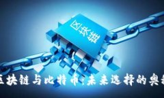 :区块链与比特币：未来选
