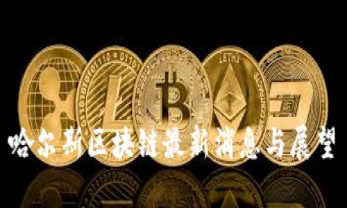 哈尔斯区块链最新消息与展望