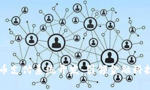 区块链币支付系统开发：引领金融科技的未来