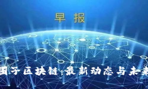 探索圈子区块链：最新动态与未来趋势