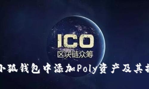 如何在小狐钱包中添加Poly资产及其操作详解