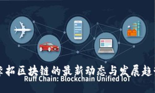 李拓区块链的最新动态与发展趋势