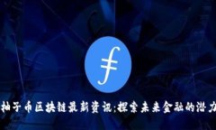 柚子币区块链最新资讯：