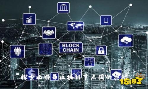 探索比特币区块链节点图的奥秘