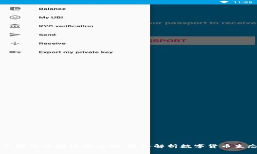 币圈与区块链的区别：深入解析数字货币生态