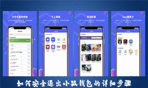 
如何安全退出小狐钱包的详细步骤