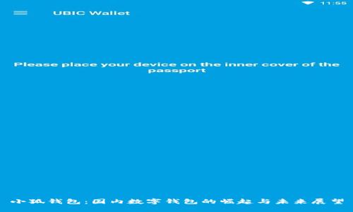 小狐钱包：国内数字钱包的崛起与未来展望