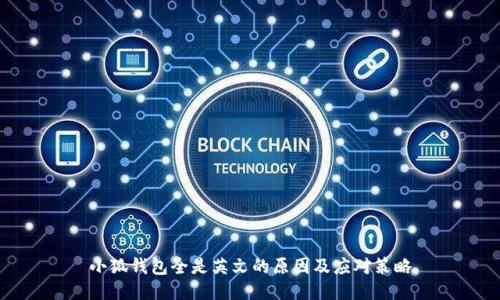 小狐钱包全是英文的原因及应对策略