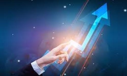 

区块链融资发币的成功案例与实践分析