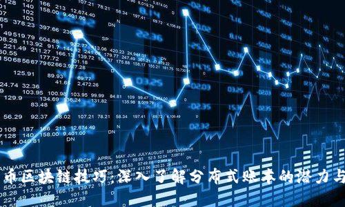 霍尔币区块链技巧：深入了解分布式账本的潜力与应用