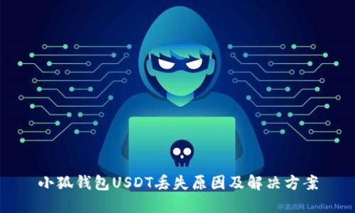 小狐钱包USDT丢失原因及解决方案