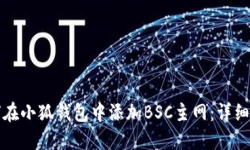 如何在小狐钱包中添加BSC主网：详细指南