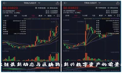 贝尔链最新动态与区块狗：新兴数字资产的前景探讨